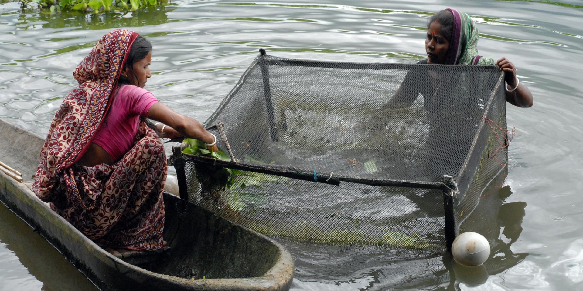 Qualitative Tools For The Women’s Empowerment In Fisheries And ...